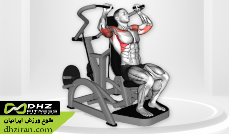 پرس سرشانه و تقویت دلتوید 